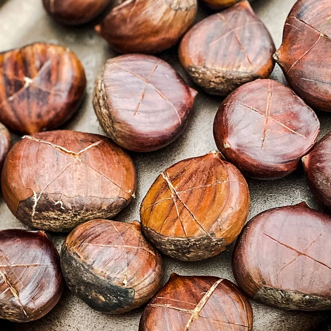 cook chestnuts on stove