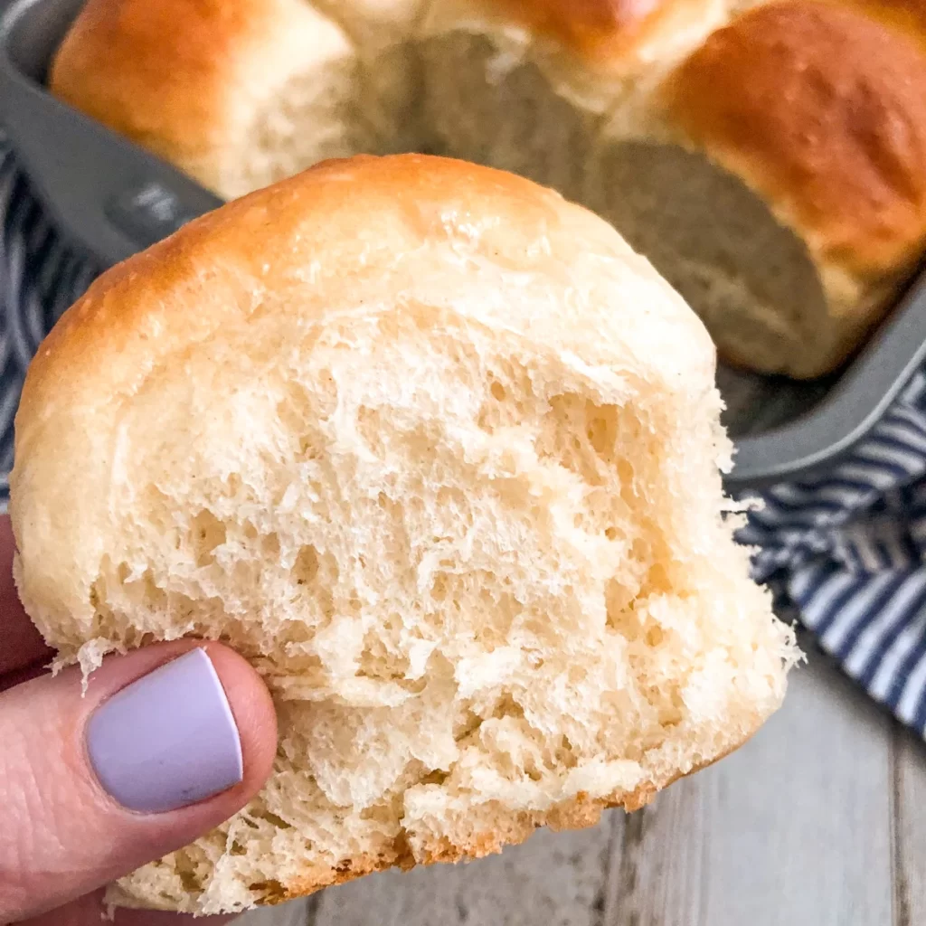 easy dinner rolls recipe